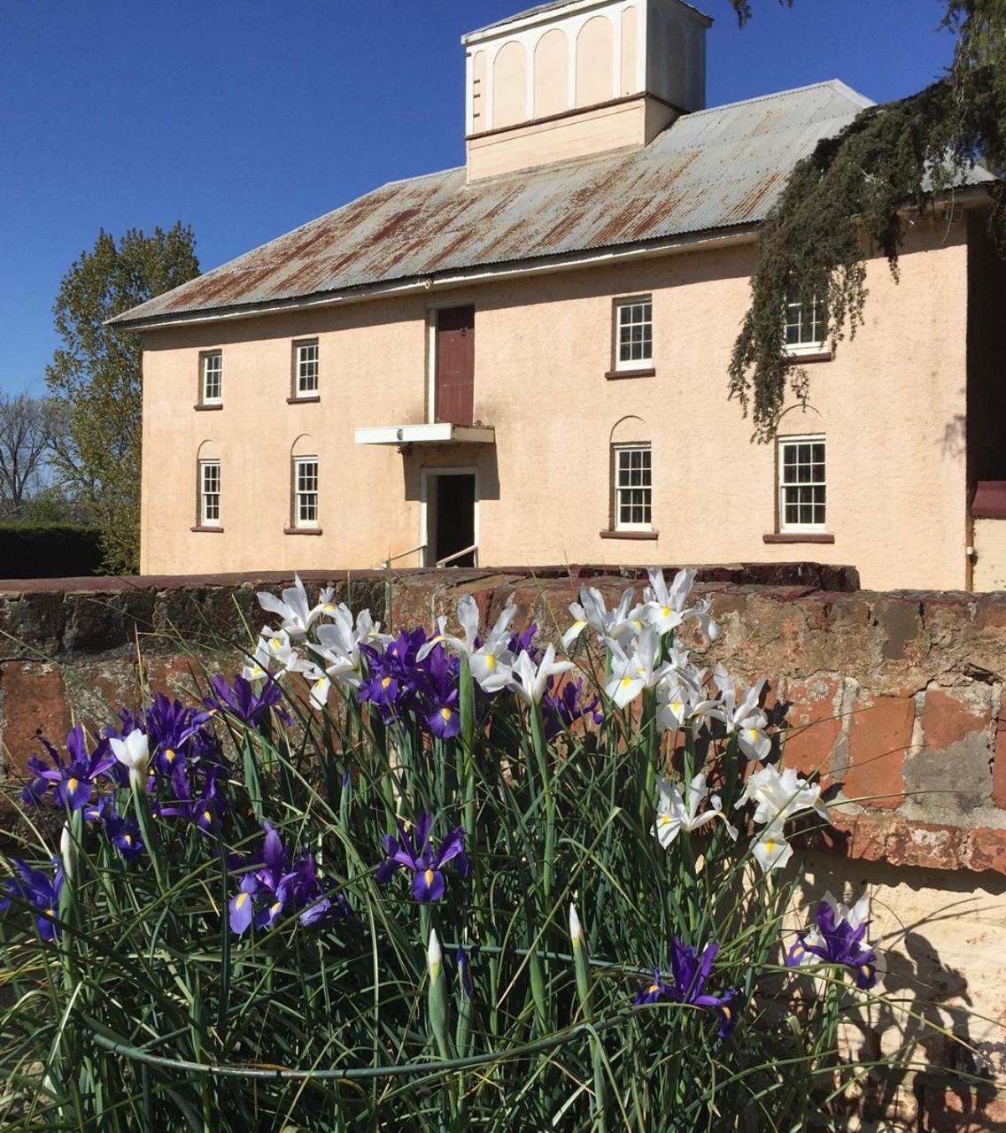 Woolmers Estate Longford Luaran gambar