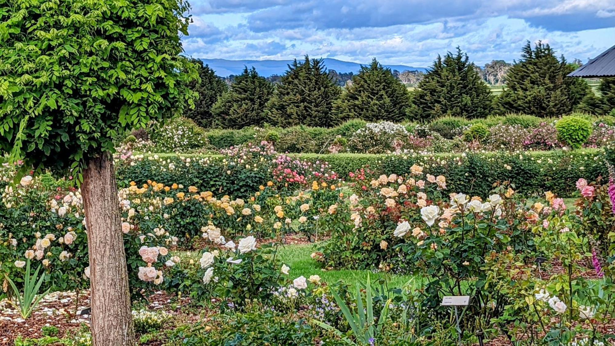 Woolmers Estate Longford Luaran gambar