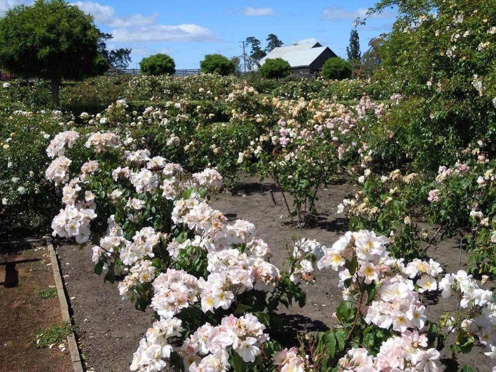 Woolmers Estate Longford Luaran gambar